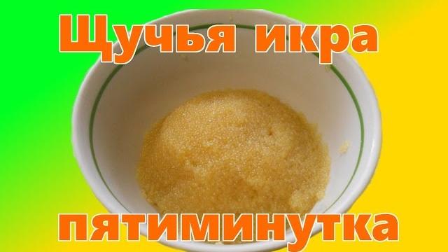 Как приготовить щучью икру Пятиминутка Как приготовить щучью икру Пятиминутка