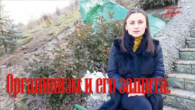 Здоровый образ жизни. Защита организма Здоровый образ жизни. Защита организма
