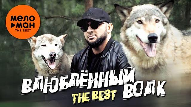 ВЛЮБЛЕННЫЙ ВОЛК. THE BEST (Видеоклипы кавказа. Осень 2024) ВЛЮБЛЕННЫЙ ВОЛК. THE BEST (Видеоклипы кавказа. Осень 2024)