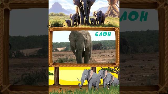 Слон - Удивительные животные для детей #мультики #учисьиграй #крошкаантошка #развивающиемультики Слон - Удивительные животные для детей #мультики #учисьиграй #крошкаантошка #развивающиемультики