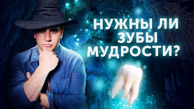 Зачем нам зубы мудрости? Можно ли их удалять? Зачем нам зубы мудрости? Можно ли их удалять?