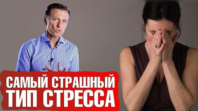 Стресс и иммунитет. Самый сильный стресс в мире Стресс и иммунитет. Самый сильный стресс в мире