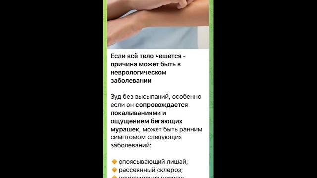 Human body: Если все тело чешется…/16.11.22 15:08 Human body: Если все тело чешется…/16.11.22 15:08
