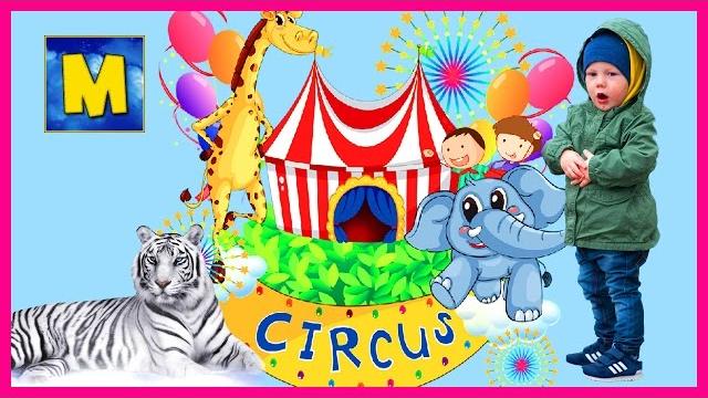 ЦИРК CIRCUS Детское игровое видео про цирк на Фонтанке Тигры, носорог, клоуны и акробаты ЦИРК CIRCUS Детское игровое видео про цирк на Фонтанке Тигры, носорог, клоуны и акробаты