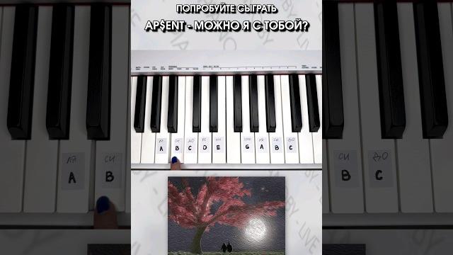 Научись играть Можно я с тобой - AP$ENT на пианино за 15 СЕКУНД #пианино #музыкальнаяшкола #обучение Научись играть Можно я с тобой - AP$ENT на пианино за 15 СЕКУНД #пианино #музыкальнаяшкола #обучение