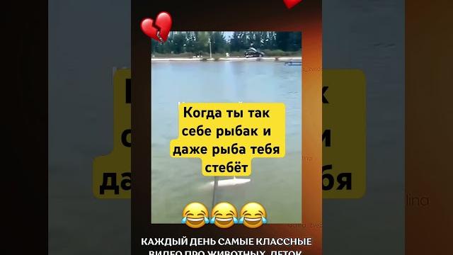 Рыба профи#прикол #приколы #смешно #смешное #рыбалка #рыба #рыбак #лучшее #топ #смех #юмор #умора Рыба профи#прикол #приколы #смешно #смешное #рыбалка #рыба #рыбак #лучшее #топ #смех #юмор #умора