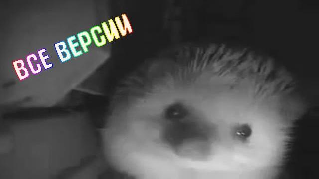 ежик чихнул все версии ежик чихнул все версии