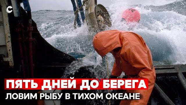 Океанский гигант. Как работает самый большой в мире плавучий рыбзавод Океанский гигант. Как работает самый большой в мире плавучий рыбзавод