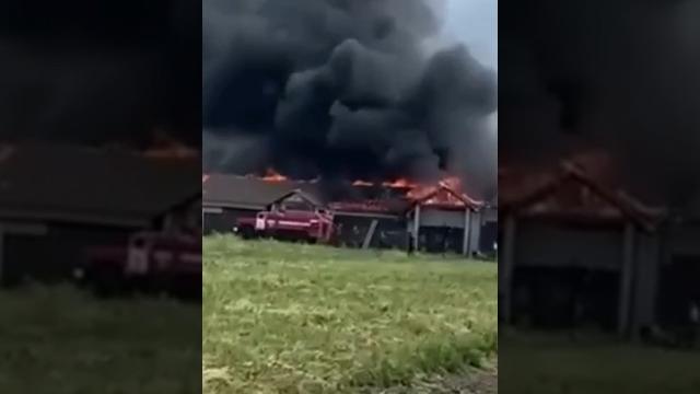 РИЛЬСЬК ОТРИМУЄ В РИЛО! РЕЗУЛЬТАТИВНИЙ ПРИЛІТ HIMARS ПО ШТАБУ 155 БРИГАДИ МОРСЬКОЇ ПІХОТИ РФ! РИЛЬСЬК ОТРИМУЄ В РИЛО! РЕЗУЛЬТАТИВНИЙ ПРИЛІТ HIMARS ПО ШТАБУ 155 БРИГАДИ МОРСЬКОЇ ПІХОТИ РФ!