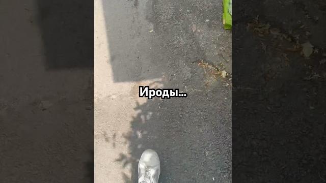 #юмор #ютуб #шортс #юмор #ютуб #шортс