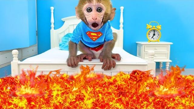 Monkey Baby Bon Bon Bathing In The Bathroom With Eating Ice Cream With Puppy Side Swimming Pool Monkey Baby Bon Bon Bathing In The Bathroom With Eating Ice Cream With Puppy Side Swimming Pool