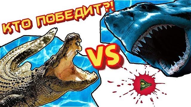 КТО ПОБЕДИТ: Гребнистый крокодил или белая акула? КТО ПОБЕДИТ: Гребнистый крокодил или белая акула?