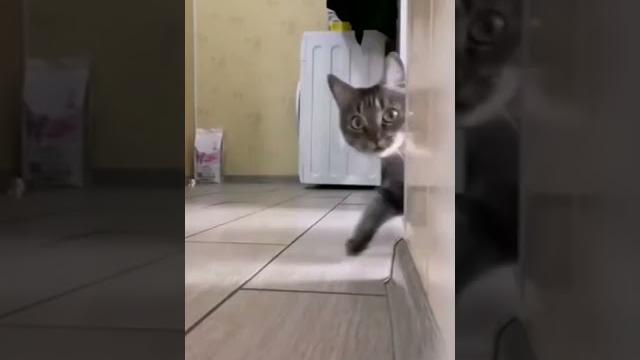 видео длится 1 час видео длится 1 час