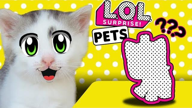 LOL ПОДРУЖКА? КОТ МАЛЫШ НЕ ПОНЯЛ! КОШЕЧКА МУРКА И НОВАЯ КУКЛА ЛОЛ! ОТКРЫЛИ ШАР LOL SURPRISE PETS LOL ПОДРУЖКА? КОТ МАЛЫШ НЕ ПОНЯЛ! КОШЕЧКА МУРКА И НОВАЯ КУКЛА ЛОЛ! ОТКРЫЛИ ШАР LOL SURPRISE PETS