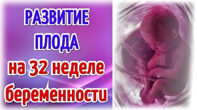 Развитие плода на 32 неделе беременности! Развитие плода на 32 неделе беременности!