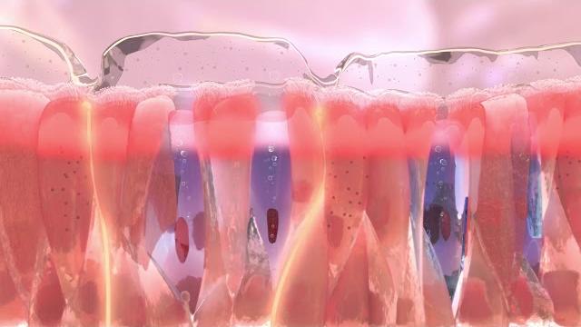 Bionorica. Бронхипрет. Двойной эффект Bionorica. Бронхипрет. Двойной эффект