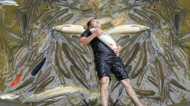 Catch all the Fish in the big Pond and move them to the small Pond - A new start after failure Catch all the Fish in the big Pond and move them to the small Pond - A new start after failure