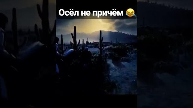 Осел не причем ган*оны #lahmadju #shorts Осел не причем ган*оны #lahmadju #shorts