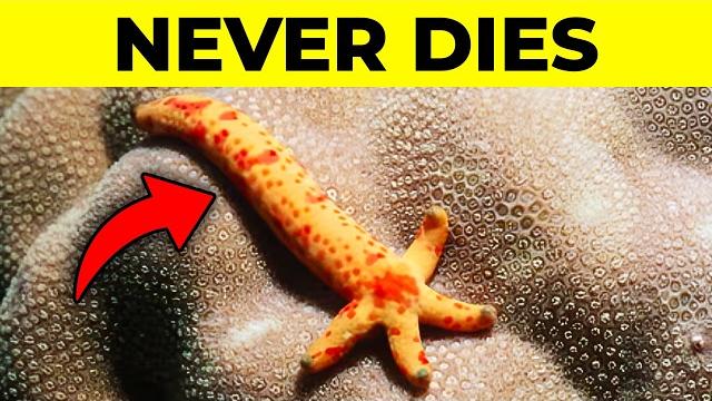 25 Little Known Facts Worth Knowing 25 Little Known Facts Worth Knowing