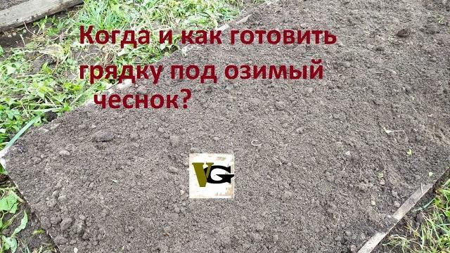 Как подготовить грядку под чеснок Как подготовить грядку под чеснок