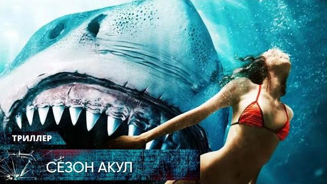 КРОВАВОЕ ПРОТИВОСТОЯНИЕ С ГИГАНТСКОЙ АКУЛОЙ! НА КОНУ СОБСТВЕННАЯ ЖИЗНЬ! Сезон акул. Лучшие Триллеры КРОВАВОЕ ПРОТИВОСТОЯНИЕ С ГИГАНТСКОЙ АКУЛОЙ! НА КОНУ СОБСТВЕННАЯ ЖИЗНЬ! Сезон акул. Лучшие Триллеры