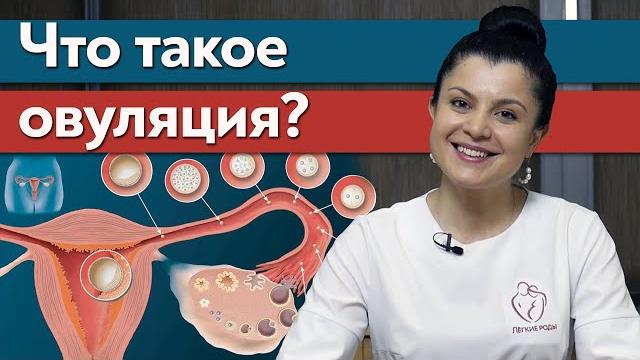 Что такое овуляция? / Как определить овуляцию? Что такое овуляция? / Как определить овуляцию?