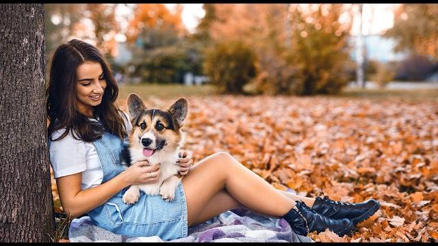 Красивая музыка, легкая, спокойная вдохновляющая музыка Без авторских прав, No Copyright Music NCS Красивая музыка, легкая, спокойная вдохновляющая музыка Без авторских прав, No Copyright Music NCS