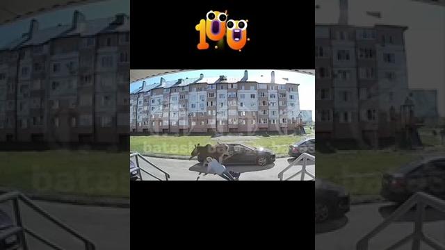 ЖОСКАЯ АВАРИЯ #рекомендации #юмор ЖОСКАЯ АВАРИЯ #рекомендации #юмор