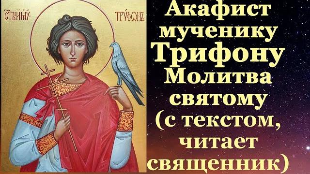 Акафист мученику Трифону, с текстом, слушать, читает священник, молитва святому Трифону Апамейскому Акафист мученику Трифону, с текстом, слушать, читает священник, молитва святому Трифону Апамейскому