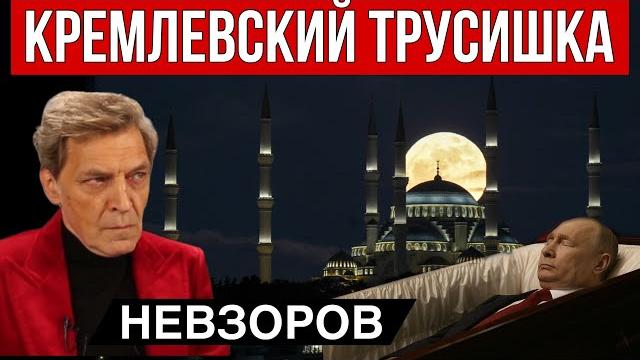 Когда закончится война. Невзоров. Стамбул. Сюрпризы. Из жизни окопных орков. Форум хороших русских. Когда закончится война. Невзоров. Стамбул. Сюрпризы. Из жизни окопных орков. Форум хороших русских.