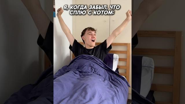 А КАКОЕ ДОМАШНЕЕ ЖИВОТНОЕ У ВАС? #юмор #животные #а4 А КАКОЕ ДОМАШНЕЕ ЖИВОТНОЕ У ВАС? #юмор #животные #а4