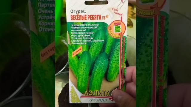 Супер огурец Веселые ребята Супер огурец Веселые ребята