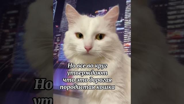 28 октября 2021 г. 28 октября 2021 г.