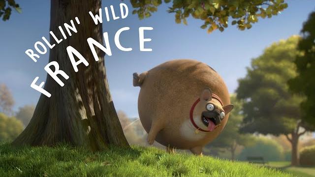 Rollin' France - what if animals were round? Rollin' France - what if animals were round?