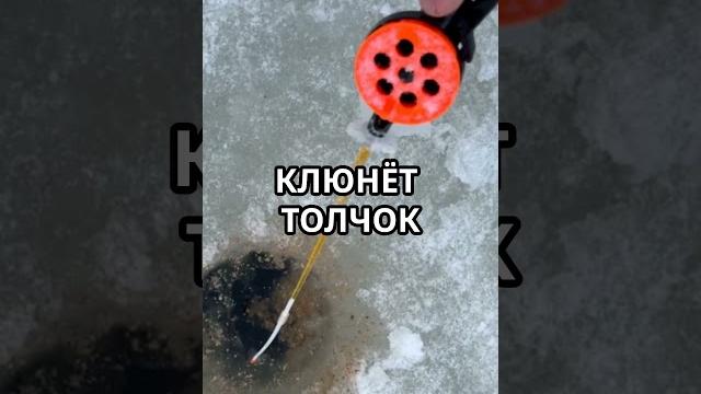 Как работает подлёдная рыбалка Как работает подлёдная рыбалка