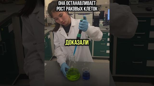 Самый противораковый овощ Самый противораковый овощ