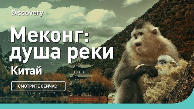 Меконг: душа реки | Китай | Discovery Меконг: душа реки | Китай | Discovery
