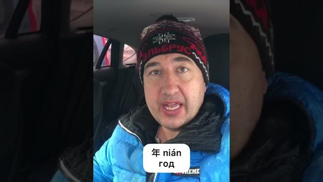 Год Тигра Год Тигра