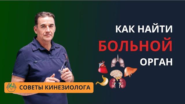 БОЛЬНОЙ ОРГАН, как найти? Диагностика без УЗИ и прочих исследований с помощью мышечного теста БОЛЬНОЙ ОРГАН, как найти? Диагностика без УЗИ и прочих исследований с помощью мышечного теста