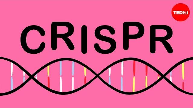 How CRISPR lets you edit DNA - Andrea M. Henle How CRISPR lets you edit DNA - Andrea M. Henle
