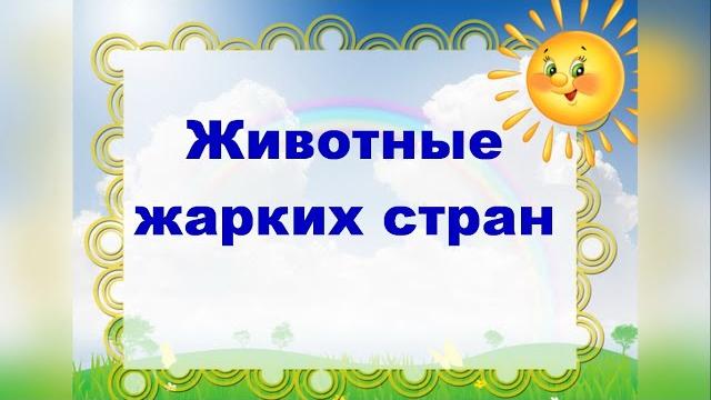 Животные жарких стран Животные жарких стран