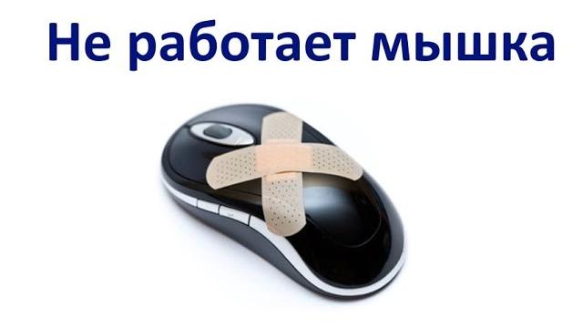 Не работает мышка на ноутбуке! Что делать? Не работает мышка на ноутбуке! Что делать?