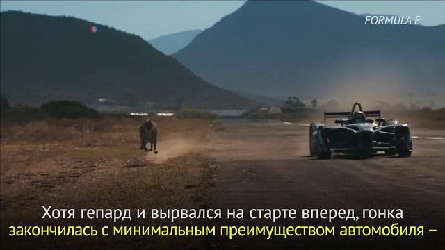 Гепард против Формулы Гепард против Формулы