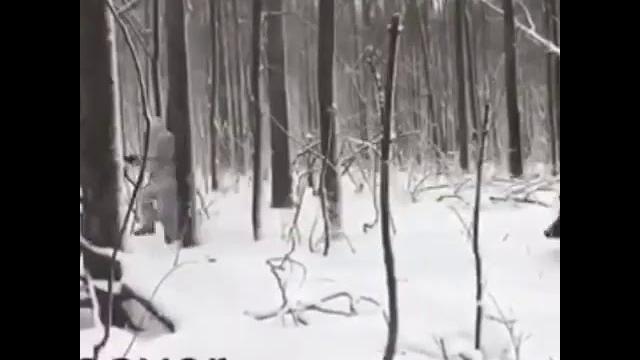 Кабан и охотник, прикол! Кабан и охотник, прикол!