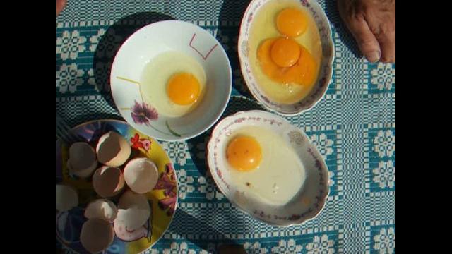 Как я искал куриное яйцо для инкубации Как я искал куриное яйцо для инкубации