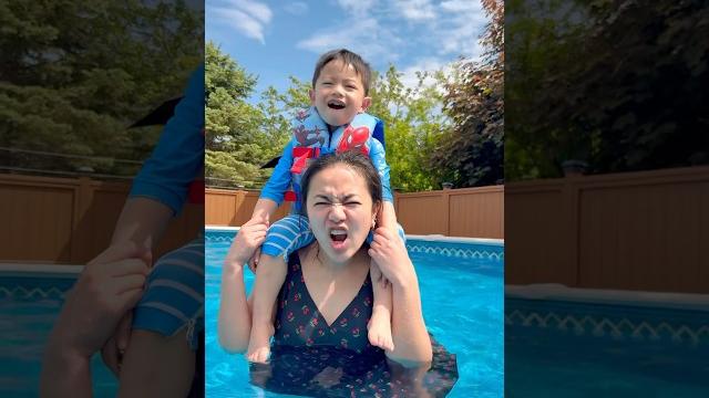 Dog vs Cat Showdown at the Pool! ️ Dog vs Cat Showdown at the Pool! ️