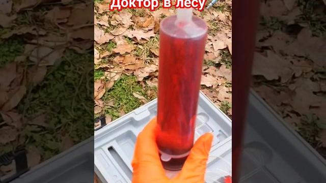 Доктор Пошёл в лес делать вакцинацию Доктор Пошёл в лес делать вакцинацию