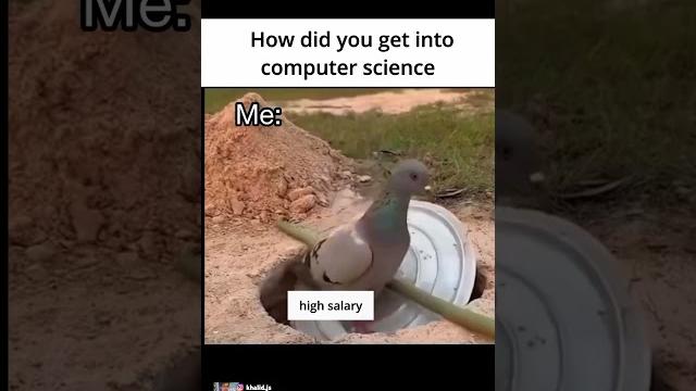 computer science mirage #coding #programming #javascript #python computer science mirage #coding #programming #javascript #python