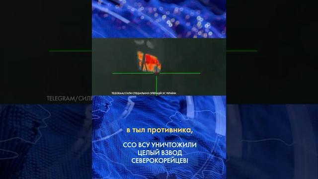 Уничтожен ВЗВОД северокорейцев в КУРСКОЙ области: ССО ВСУ провели УСПЕШНУЮ операцию #shorts Уничтожен ВЗВОД северокорейцев в КУРСКОЙ области: ССО ВСУ провели УСПЕШНУЮ операцию #shorts