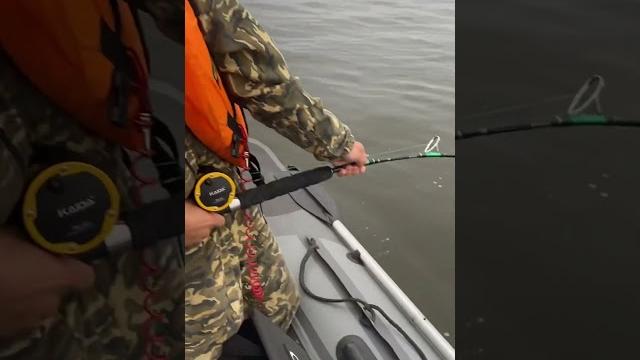 #рыбалка #fishing #сомы #юмор #мем #рыбалка #fishing #сомы #юмор #мем